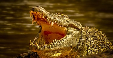 Нас хотят вымотать ракетами. Именно в этом - смысл последних атак, которые кажутся бесполезными