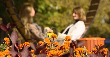 Аномальное потепление придет в Украину: температура поднимется до +19°С, — синоптик