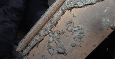 В Тернопольской области под собором нашли разграбленные захоронения богачей XVII-XVIII века (фото)