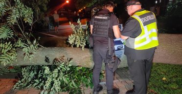 В центре Киева на людей упало дерево: один погибший, трое пострадавших, — Нацполиция (фото)
