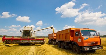 Весняна посуха в Європі зачепила Україну: фермери б'ють на сполох, — Politico