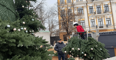 В центре Киева начали собирать главную елку 2026 года: как она будет выглядеть (видео)