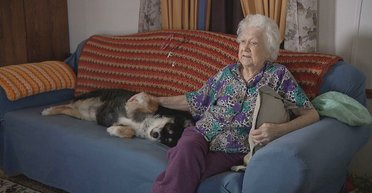 Тварини-мільйонери. Що залишають у спадок улюбленим котам, собакам, мавпам і слонам