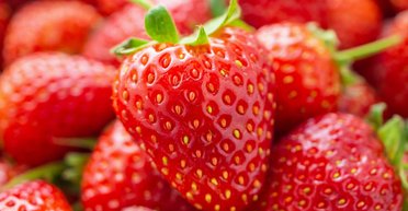 Це не насіння: люди були шоковані, коли дізналися, що за білі цятки знаходяться на полуниці