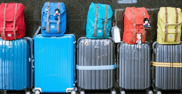 Забудьте о них: в авиакомпании рассказали, чемоданы каких цветов не стоит покупать