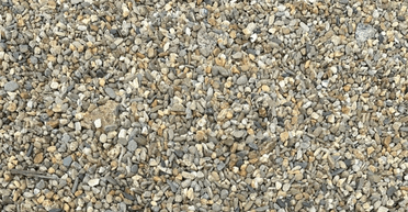 Добре захована: люди, які знайдуть качку без збільшення зображення, мають орлиний зір