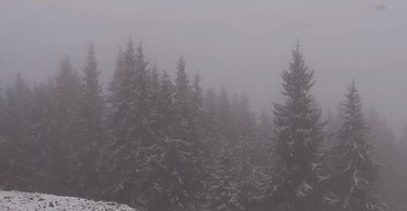 Суд посадив за ґрати чоловіка, який отримав повістку та поїхав у Карпати на відпочинок