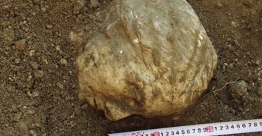 20-річна таємниця розкрита: вчені ідентифікували артефакт, знайдений у Криму (фото)