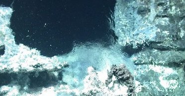 Неожиданный подводный мир был обнаружен глубоко в океане на севере Земли (фото)