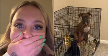 Жінка повернулась додому й побачила, що собака привів у гості "друга" (фото)