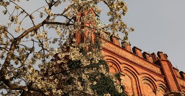 Фінський антициклон Quirin принесе потепління: Діденко розповіла, якою буде погода завтра