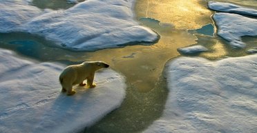 Відчайдушний план із порятунку Арктики: її пропонують заморозити
