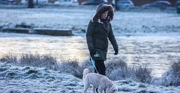 Потепління не передбачається: якою буде погода в Україні 14 січня