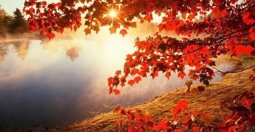 Осень не сдает позиций: октябрь завершается теплом и солнцем, — Диденко