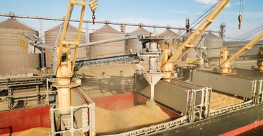 Ціни на продукти зростуть: у МВФ озвучили наслідки виходу Росії із зернової угоди