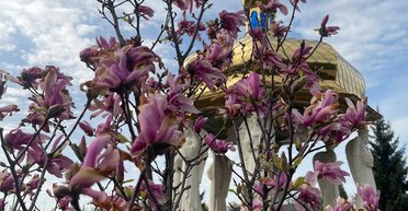 Погода 1 травня: де в Україні очікувати на дощі (карта)