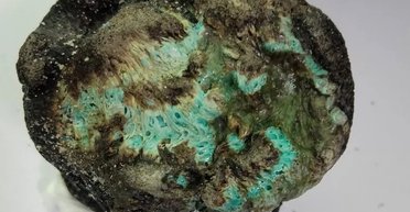 На Землі з'явився новий вид мінералів — пластикові камені: їх можна знайти вже по всьому світу