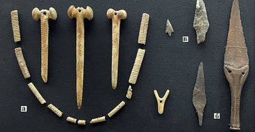 Оттуда происходит полпланеты: ученые нашли генетическую колыбель в оккупированной части Херсонской области