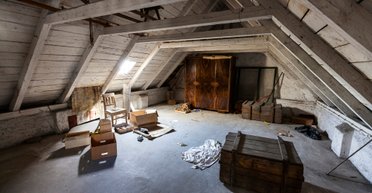 Реліквії з горищ. Ваза імператора, картина Девіда Бовї та сфінкси фараонів