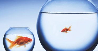 Сладкий грех. Почему украинцы так не любят богатых