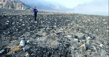 Покорили Гренландию еще 4500 лет назад: археологи нашли доказательства (фото)