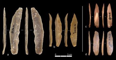 Новатори, а не імітатори: нове відкриття про найстаріші у світі інструменти (фото)