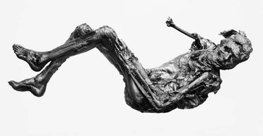 Заточенные во времени: ученые рассказали, как природа сохраняет доисторических существ (фото)