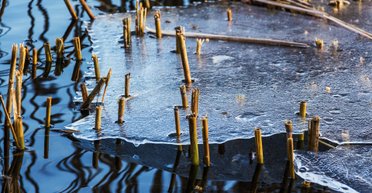 Мокрый снег и потепление до +15: какой будет погода в Украине на этой неделе (фото, видео)