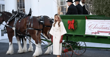 Мелания Трамп в пальто Dior показала главную елку Белого дома (фото)