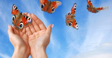 Займись своим делом. Почему любой человек может добиться успеха и стать счастливым