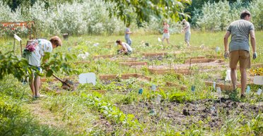 Полюбили землю. Как киевляне ухаживают за огородами, не покидая столицу