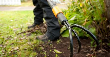 Слово о сорняках. Что делать с бурьяном в конституционном поле