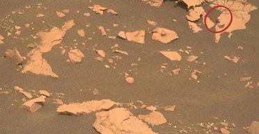 На старому фото Curiosity з Марса знайшли незвичайний об'єкт: чому NASA його не знищило (фото)