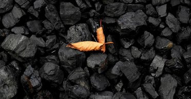 Замена углю: Австралия готовится выделить 20 миллионов долларов на новую помощь Украине