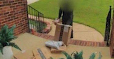 Курьер удивил способом доставки: семья показала видео с камеры (видео)