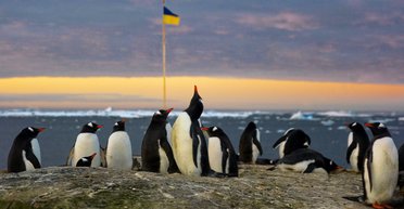Подальше от новостей и общественного транспорта. Зачем украинские ученые сбегают в Антарктиду