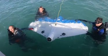 "Дешевый и простой": студент нашел способ управлять дронами через звук (фото)