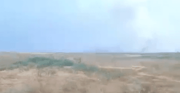 На оккупированном Юге пылает заповедник "Аскания-Нова", — Минсреды (видео)