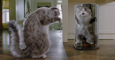 Кот отпущения. Почему стоит смотреть фильм "9 жизней"