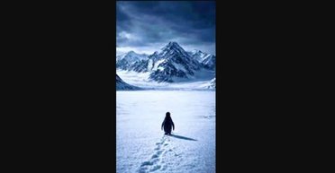 Тихий бунт или марш смерти: история пингвина-нигилиста, покинувшего колонию в поисках себя