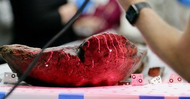 Ученые нашли 10 древних каноэ в озере Мендота: самому старому из них почти 5000 лет (фото)