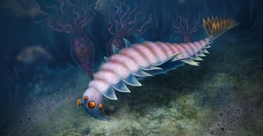 Пять глаз и шипы на хвосте. Исследователи нашли останки странного, вымершего вида животных