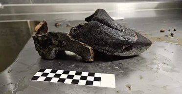 В Голландии в выгребной яме нашли деревянный ботинок, которому 500 лет