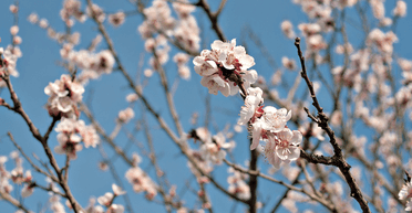 Прогноз на выходные: тепло исчезает, на смену приходят дожди