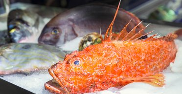 Большой  улов. Какую рыбу едят украинцы и выращивают украинские аквафермеры