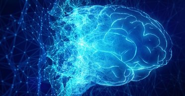 9 неожиданных способов улучшить свое психическое здоровье: о чем узнали ученые в 2024 году