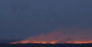 В Киеве вспыхнул экопарк "Осокорки" (фото)