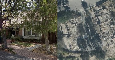 Випалену ділянку землі купили за 1 мільйон доларів: у чому її особливість (фото)