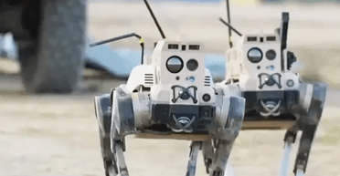 Китай использует ИИ DeepSeek для своих военных разработок: в США бьют тревогу (фото)