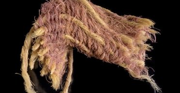 Исследователи обнаружили пурпурную ткань времен царя Соломона